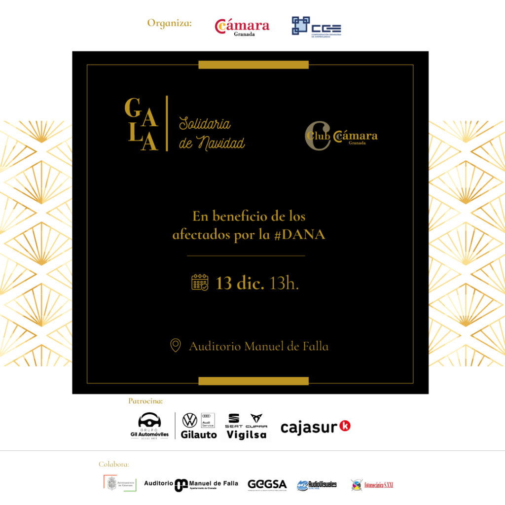 Gala Solidaria De Navidad Cge Cámara Granada